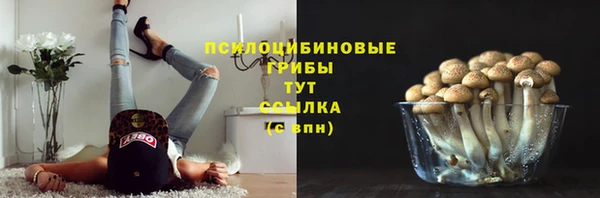 каннабис Новокубанск