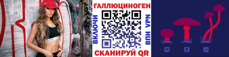 Псилоцибиновые грибы мицелий  Томмот 
