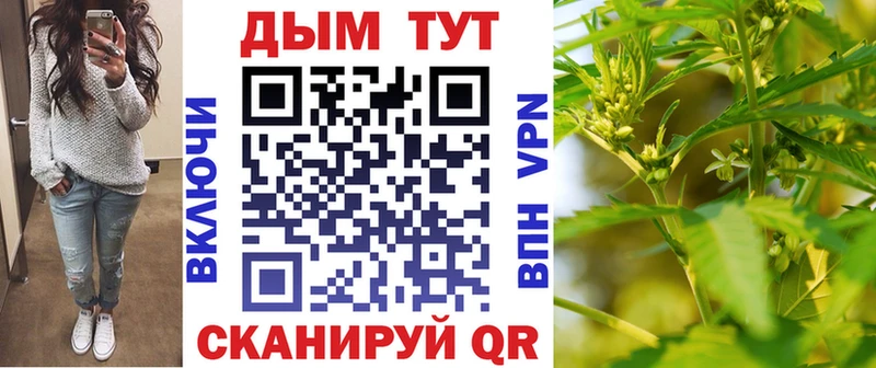 Конопля ГИДРОПОН  Томмот 